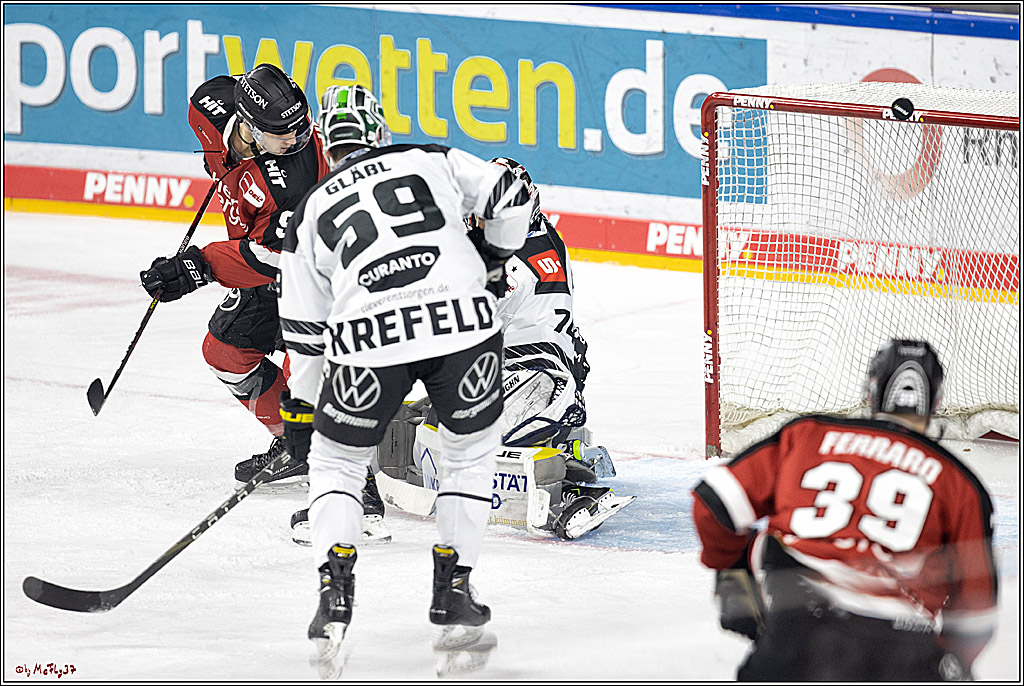 PENNY DEL;  Koelner Haie - Krefeld Pinguine; Koeln, 31.10.2021
